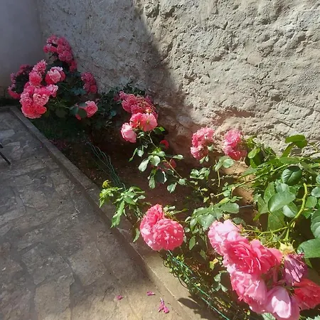 Apartman Center Free Parking In Private Garage Apartamento Pula