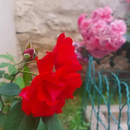 Apartman Center Free Parking In Private Garage Apartamento *