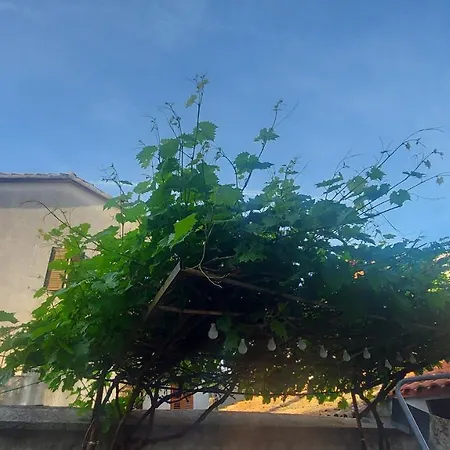 Apartman Center Free Parking In Private Garage *